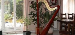 CAMAC Atlantide harp 47 strings